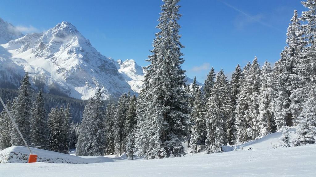 Pension Lischenhof Ehrwald Bagian luar foto