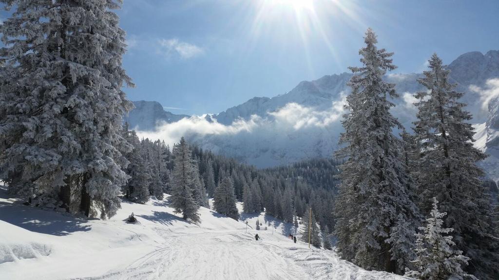 Pension Lischenhof Ehrwald Bagian luar foto